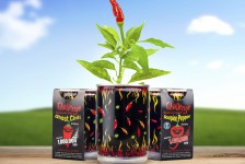 Billedet viser Chilimania, et produkt der gør det nemt at dyrke sine egne chiliplanter. Du kan frit vælge imellem tre af verdens stærkeste chili.