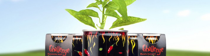 Billedet viser Chilimania, et produkt der gør det nemt at dyrke sine egne chiliplanter. Du kan frit vælge imellem tre af verdens stærkeste chili.