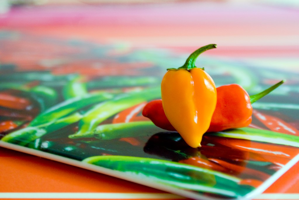 Sjove chili produkter Chilli.dk